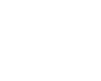 Hardhat